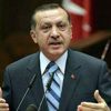 «أردوغان»: محتجو تقسيم مجموعة من الجرذان