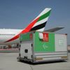 مطارات دبي تتحرك لدعم الارتفاع في عمليات الشحن أثناء تفشي كورونا