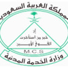 معايير الجدارة تطبق من العام المقبل