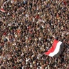''اكتشف المحميات الطبيعية فى مصر''.. حملة سياحية بالتحرير