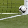 «فيفا» يؤكد استخدام تقنية مراقبة خط المرمى في كأس العالم 2014