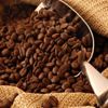 رغم تراجع الدولار.. أسعار البن المحوج ترتفع 10% بالأسواق رغم تراجع الدولار.. أسعار البن المحوج ترتفع 10% بالأسواق