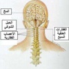 طقطقة الرقبة ضررها أكبر من نفعها طقطقة الرقبة ضررها أكبر من نفعها