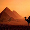 مصر تلغى منصب نائب الرئيس