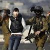 إسرائيل تعتقل 12 فلسطينيا من الضفة الغربية