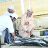 نمو إنتاج السلطنة من الأسماك