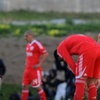 بنفيكا يتعادل ويهدي لقب الدوري لبورتو بنفيكا يتعادل ويهدي لقب الدوري لبورتو