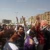 بالصور. التحرير يُطالب بانتخابات رئاسية عاجلة بالصور. التحرير يُطالب بانتخابات رئاسية عاجلة