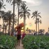 في الإسماعيلية.. حصاد "الأكلة الشعبية" في مصر (قصة مصورة)
