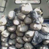 ضبط 56 كيلو بانجو بحيازة فلاح بالفيوم