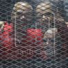الحبس سنه لـ«البلتاجى» بـ«اقتحام السجون» لإهانة القضاء وتأجيل القضية لـ٤ مارس المقبل الحبس سنه لـ«البلتاجى» بـ«اقتحام السجون» لإهانة القضاء وتأجيل القضية لـ٤ مارس المقبل
