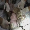 فيديو / استخراج رضيع حياً من الصرف الصحي بالصين