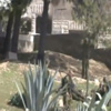 [فيديو].. جيش الاحتلال يدنس مقبرة بالخليل وينفذ تدريباً عسكريا فيها