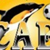 البنزرتي يتعاقد مع الورغومي - كرة القدم - الدوري التونسي