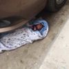 زوجها لا يحب خِلفة البنات.. حبس الأم المتهمة بـ«وأد» رضيعتها في البحيرة