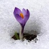 ابـتـســـم لأنــــــك مـبـتـســـــم ..!!