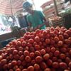 تراجع في الطماطم والبطاطس .. أسعار الخضر والفاكهة بسوق العبور اليوم تراجع في الطماطم والبطاطس .. أسعار الخضر والفاكهة بسوق العبور اليوم