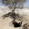 مصدر أمني ينفي غلق أنفاق رفح