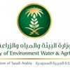 50 ألفا غرامة عدم الالتزام بأوقات وحدود الضوضاء 50 ألفا غرامة عدم الالتزام بأوقات وحدود الضوضاء
