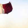 قطر تخصص منحة مالية بقيمة 360 مليون دولار لدعم قطاع غزة في 2021