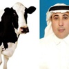 كاتب سعودي يطالب المرأة بخطبة الرجل ويصفها بالبقرة ! كاتب سعودي يطالب المرأة بخطبة الرجل ويصفها بالبقرة !