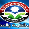 مسؤول بالحرية والعدالة يحذر ''الدستورية'' من إصدار قرار بحل ''الشورى والتأسيسية''