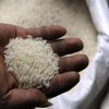 غرفة صناعة الحبوب: توريد أكثر من 185 ألف طن أرز لوزارة التموين حتى الآن غرفة صناعة الحبوب: توريد أكثر من 185 ألف طن أرز لوزارة التموين حتى الآن