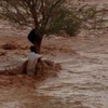 ارتفاع عدد ضحايا السيول الى 26 شخصاً .. ومدني الرياض يتلقى 50 الف بلاغ