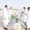 عيد المقابر ... سلام ودموع
