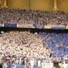 جماهير #الهلال تستعد للرد بقوة على شعارات #بيروزي