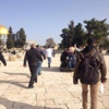 مستوطنون متطرفون يقتحمون الأقصى