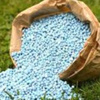 ضبط 2 طن سماد أزوتى مدعم بحوزة فلاحين بالمنيا ضبط 2 طن سماد أزوتى مدعم بحوزة فلاحين بالمنيا