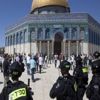الاحتلال الاسرائيلي يقتحم المسجد الأقصى ويعتقل شابين ويعتدي على مواطنين