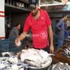 أسعار المأكولات البحرية والأسماك في سوق العبور اليوم
