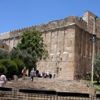 فلسطين: مستوطنون إسرائيليون يجرفون حيا تاريخيا قرب الحرم الإبراهيمي في الخليل
