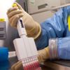 خبراء الصحة الكنديين: أونتاريو قد تسجل 15 ألف حالة وفاة بسبب فيروس كورونا