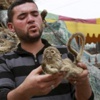 محمد بن زايد يبحث التعاون الدفاعي مع وزير البحرية الأميركي محمد بن زايد يبحث التعاون الدفاعي مع وزير البحرية الأميركي