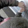القبض على عاطلين كونا تشكيلاً عصابيًّا لسرقة السيارات بحلوان