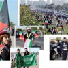 أفراح الكويت.. تتجدد