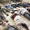 السفير الأمريكي لدى دمشق: لا دليل على استخدام أسلحة كيماوية في سوريا