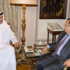 وزير خارجية الامارات يجتمع مع وزير الخارجية المصري