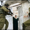 القوات الإسرائيلية تعتقل 6 فلسطينيين شمال الضفة الغربية