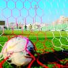 تحقيقات.. في الأهلي تحقيقات.. في الأهلي