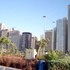 بدء محاكمة "خلية إخوانية" في الإمارات