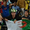 الجزائر تطيح بوصيف بطل أفريقيا وديا الجزائر تطيح بوصيف بطل أفريقيا وديا