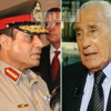 هيكــل: السيسي رجل حائر.. ولديه أسباب تجعله يقول «لا» للترشح وأخرى «نعم»
