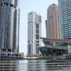 الإمارات .. أكبر سوق في الشرق الأوسط