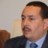 ''نسعى لتسهيل الحصول على التأشيرة للحد من الهجرة غير الشرعية''