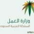 وزارة العمل تعلن عن توفر وظائف إدارية شاغرة