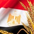 مصر تتوقع إزدياد بمحصول القمح لديها إلى 4 مليون طن مصر تتوقع إزدياد بمحصول القمح لديها إلى 4 مليون طن